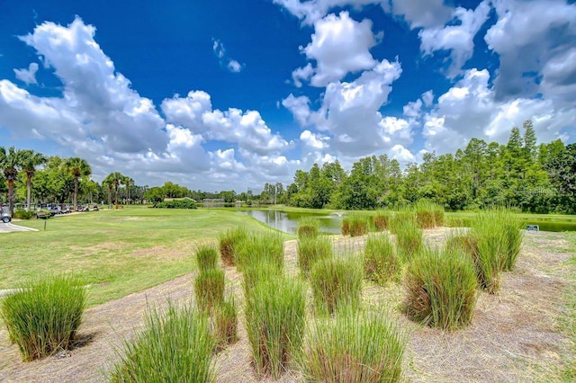 8005 Shaddock Pl, Land O Lakes, FL 34637 - photo 34