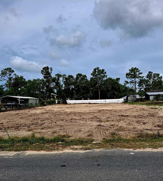 8181 Nittany Rd, Weeki Wachee, FL 34613 - photo 3