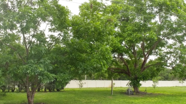 503 W Lutz Lake Fern Rd, Lutz, FL 33548 - photo 13