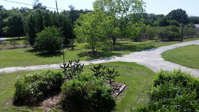 503 W Lutz Lake Fern Rd, Lutz, FL 33548 - photo 15