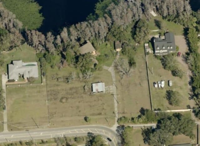 503 W Lutz Lake Fern Rd, Lutz, FL 33548 - photo 4