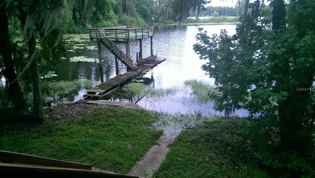 503 W Lutz Lake Fern Rd, Lutz, FL 33548 - photo 8