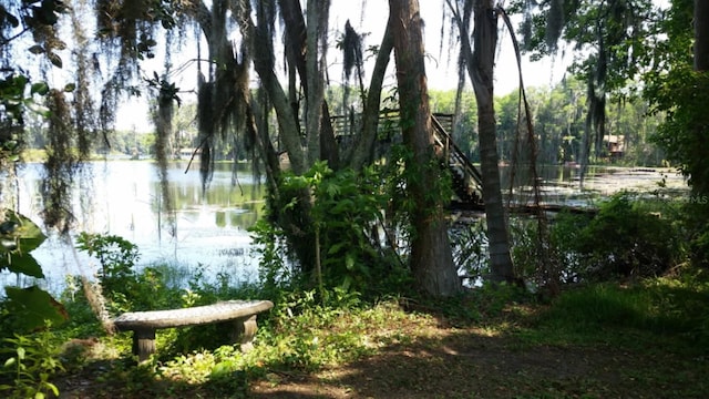 503 W Lutz Lake Fern Rd, Lutz, FL 33548 - photo 10