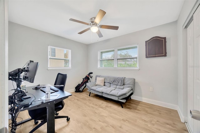 4519 S Hesperides St, Tampa, FL 33611 - photo 23