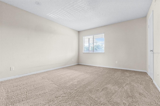 13287 Arbor Pointe Cir Unit 302, Tampa, FL 33617 - photo 14