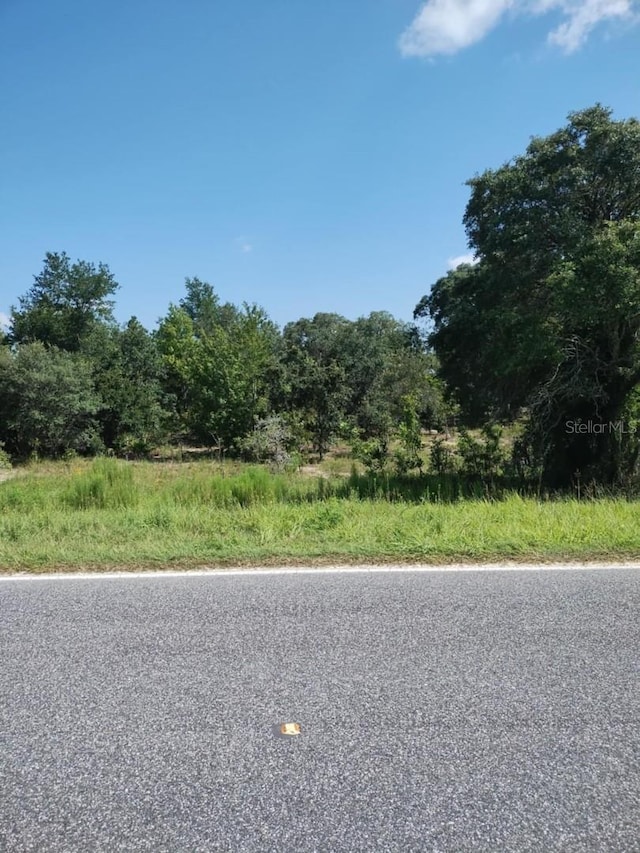 0 Levy St E, Williston, FL 32696 - photo 1