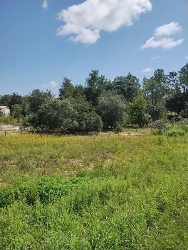 0 Levy St E, Williston, FL 32696 - photo 5