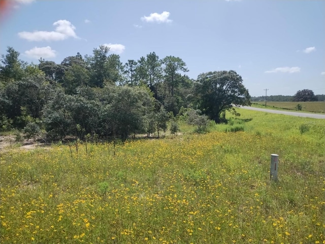 0 Levy St E, Williston, FL 32696 - photo 6