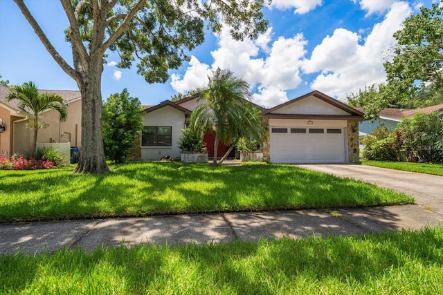 1455 Coastal Pl, Dunedin, FL 34698 - photo 32