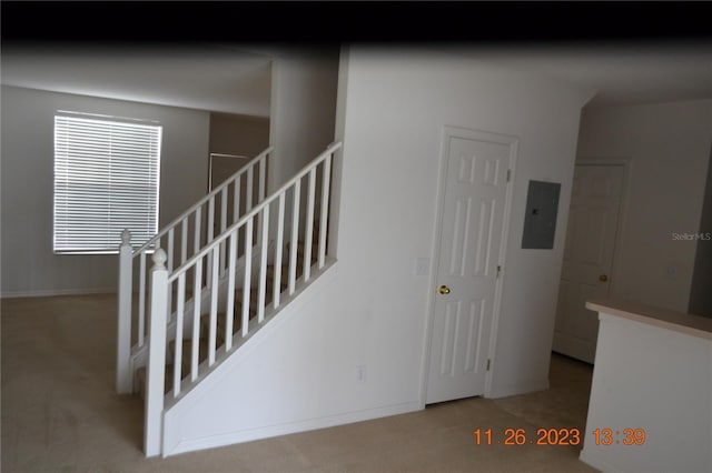3343 Broken Bow Dr, Land O Lakes, FL 34639 - photo 4