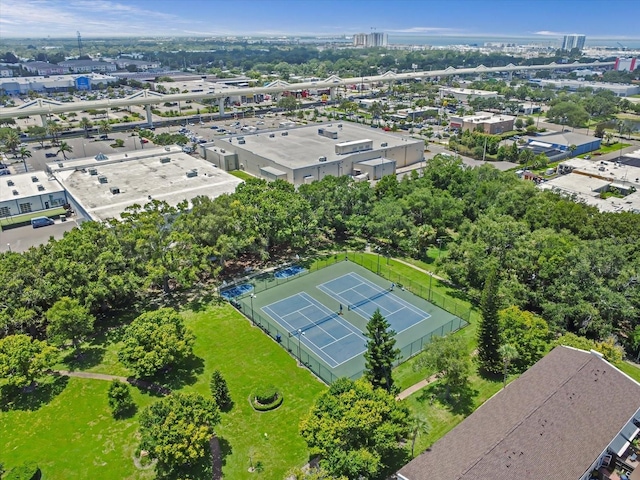 4201 La Palma Ct, Tampa, FL 33611 - photo 17