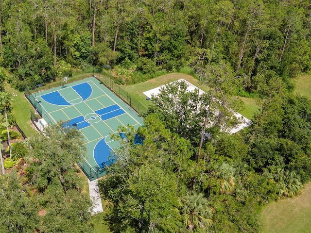 4527 Scarlet Loop, Wesley Chapel, FL 33544 - photo 38