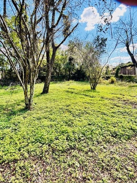 35441 Francine Dr, Zephyrhills, FL 33541 - photo 1