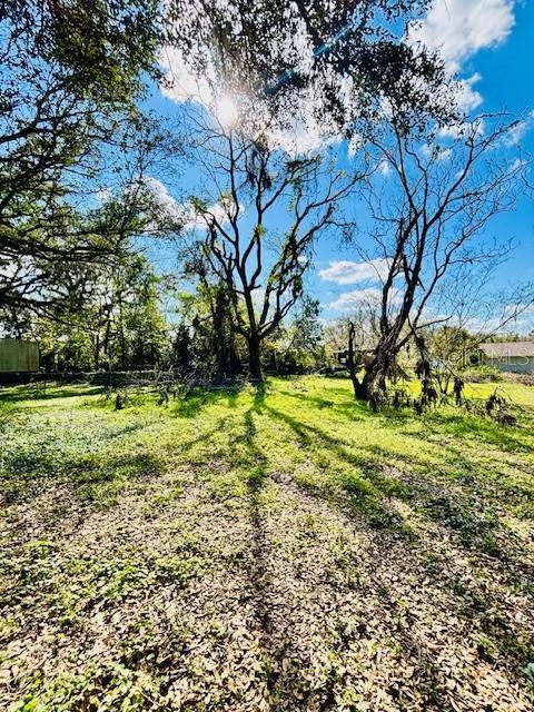 35441 Francine Dr, Zephyrhills, FL 33541 - photo 2