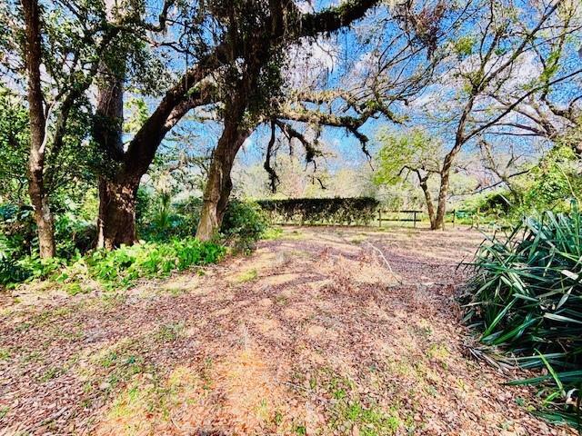 35441 Francine Dr, Zephyrhills, FL 33541 - photo 3