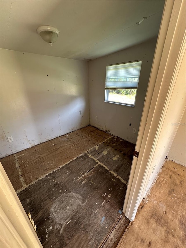 6415 Werner Ave, New Port Richey, FL 34652 - photo 22