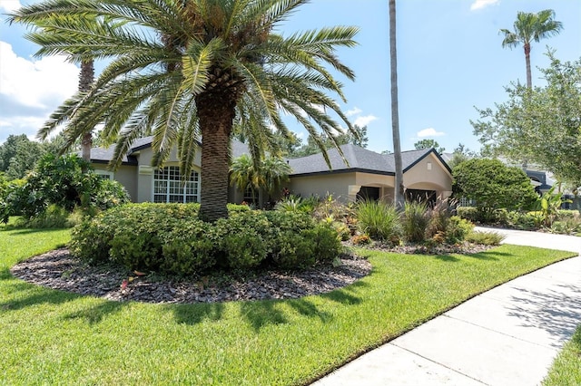 27050 Laurel Chase Ln, Wesley Chapel, FL 33544 - photo 10