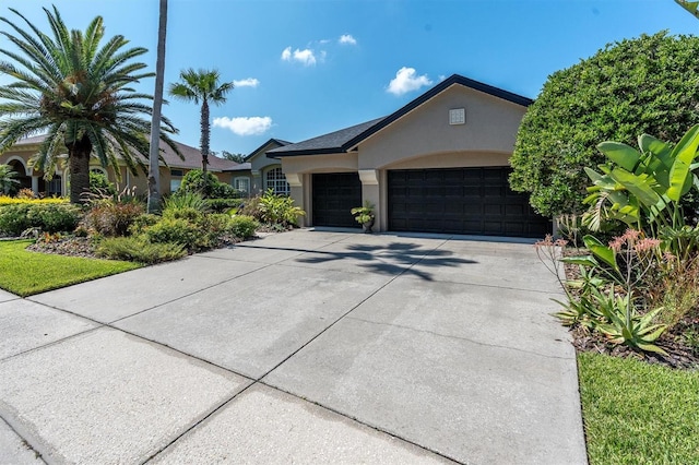 27050 Laurel Chase Ln, Wesley Chapel, FL 33544 - photo 11