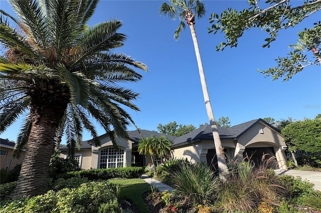 27050 Laurel Chase Ln, Wesley Chapel, FL 33544 - photo 12
