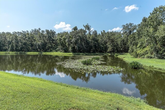 27050 Laurel Chase Ln, Wesley Chapel, FL 33544 - photo 56