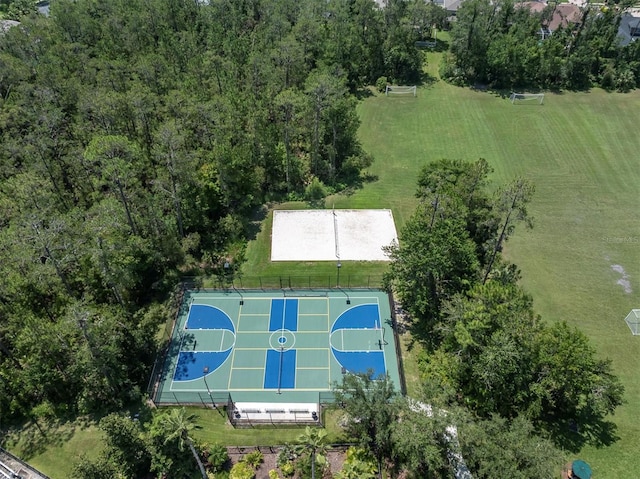 27050 Laurel Chase Ln, Wesley Chapel, FL 33544 - photo 64