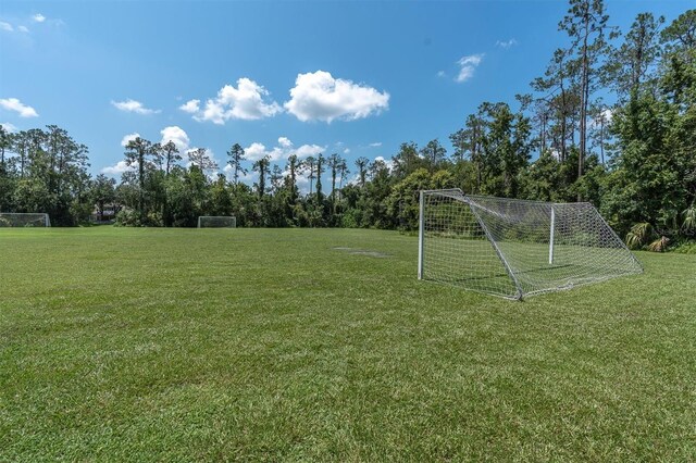 27050 Laurel Chase Ln, Wesley Chapel, FL 33544 - photo 72
