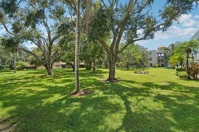2255 Philippine Dr Unit 9, Clearwater, FL 33763 - photo 32