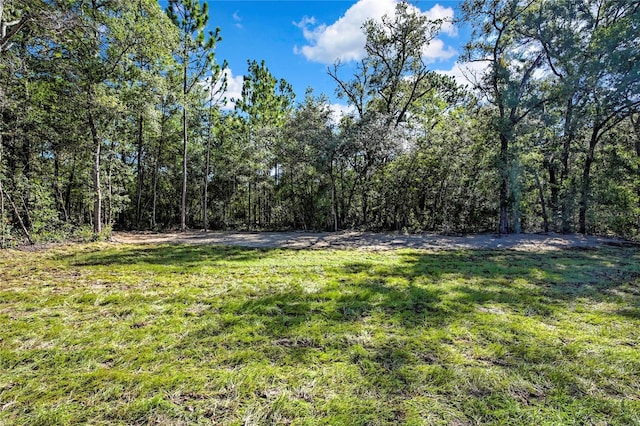 2400 W Magenta Dr, Citrus Springs, FL 34434 - photo 35