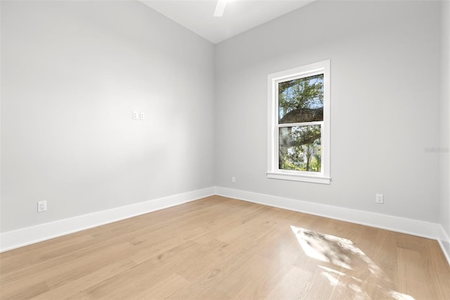 220 Hesperides St N, Tampa, FL 33609 - photo 6