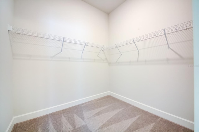 7006 162nd Pl E, Parrish, FL 34219 - photo 25