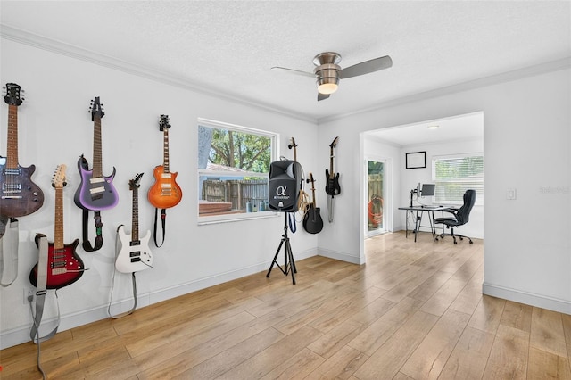 1491 Bayview Dr, Clearwater, FL 33756 - photo 10