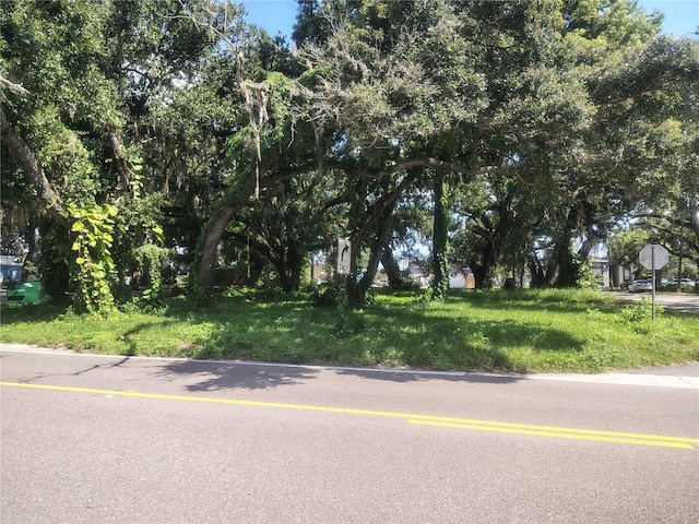 113 E Robertson St, Brandon, FL 33511 - photo 2