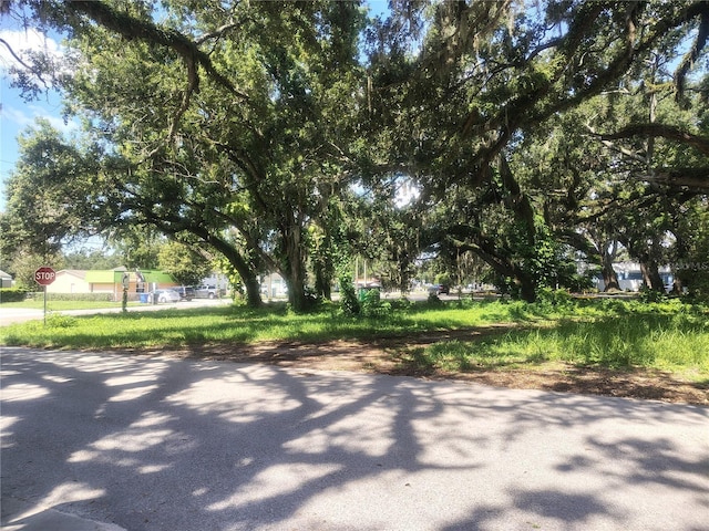 113 E Robertson St, Brandon, FL 33511 - photo 3