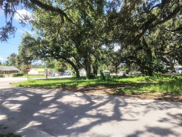 113 E Robertson St, Brandon, FL 33511 - photo 4