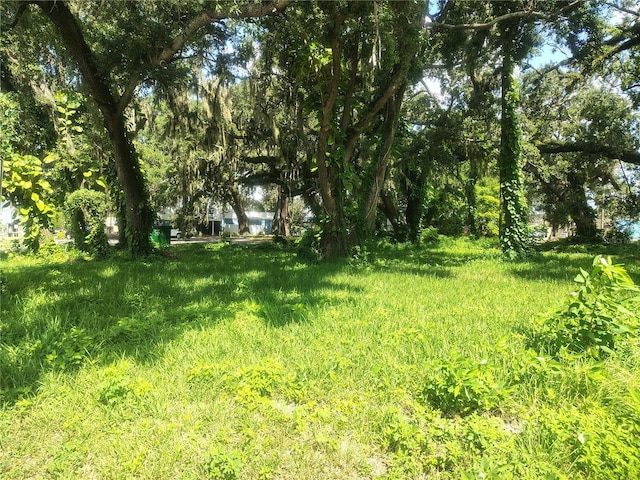 113 E Robertson St, Brandon, FL 33511 - photo 5
