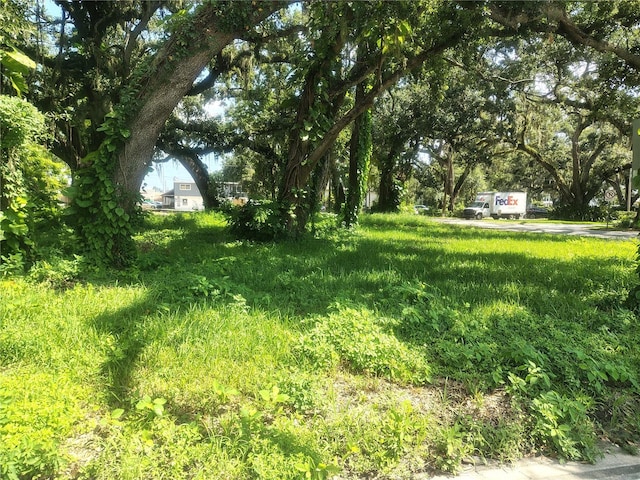 113 E Robertson St, Brandon, FL 33511 - photo 7