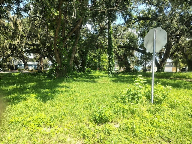 113 E Robertson St, Brandon, FL 33511 - photo 8