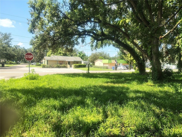 113 E Robertson St, Brandon, FL 33511 - photo 9