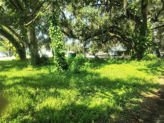 113 E Robertson St, Brandon, FL 33511 - photo 10