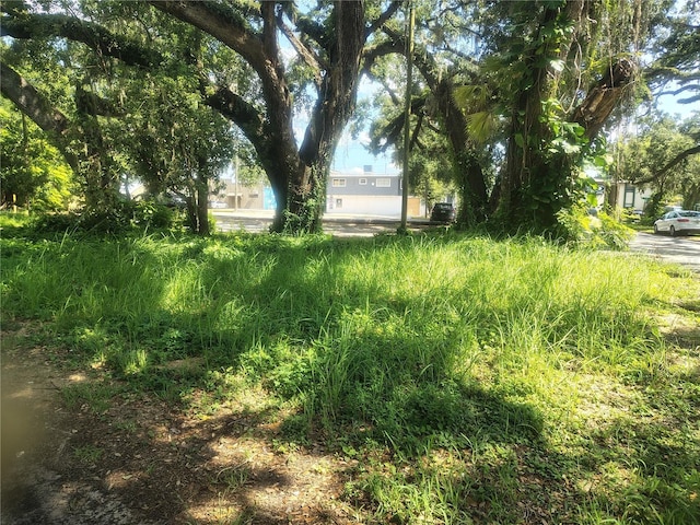 113 E Robertson St, Brandon, FL 33511 - photo 11