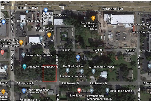 113 E Robertson St, Brandon, FL 33511 - photo 17