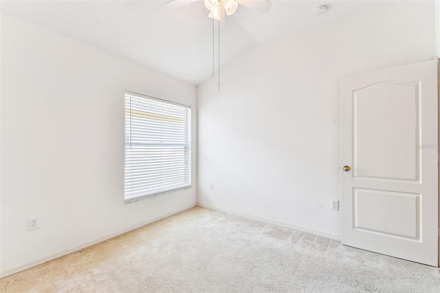 31414 Shaker Cir, Wesley Chapel, FL 33543 - photo 43