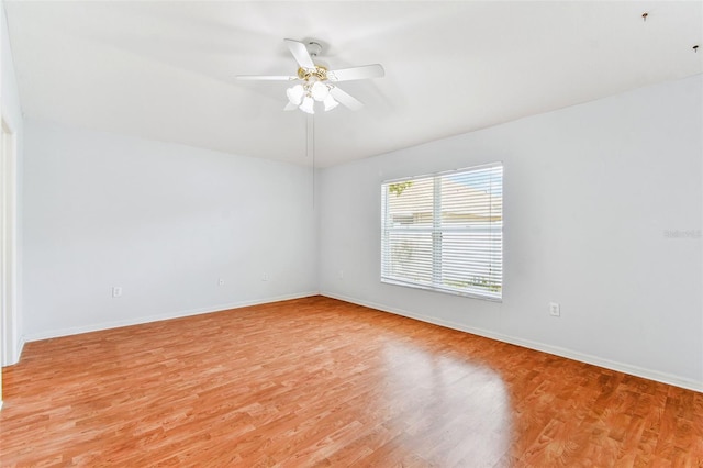 31414 Shaker Cir, Wesley Chapel, FL 33543 - photo 52