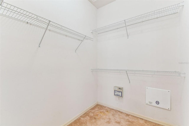 31414 Shaker Cir, Wesley Chapel, FL 33543 - photo 60