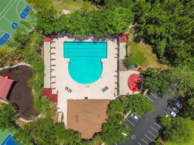 31414 Shaker Cir, Wesley Chapel, FL 33543 - photo 100