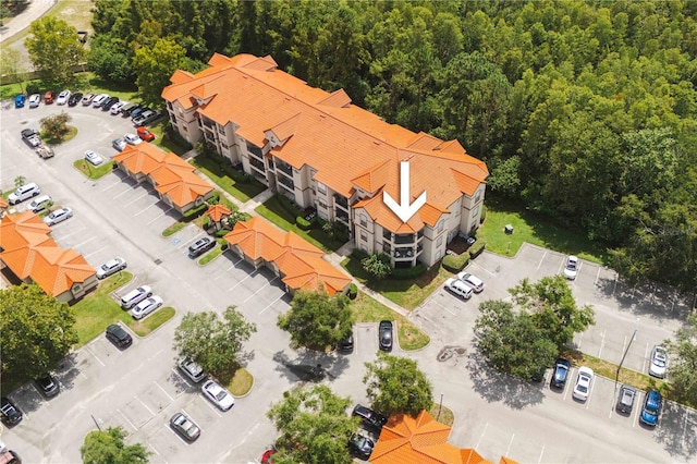 18107 Peregrines Perch Pl Unit 6306, Lutz, FL 33558 - photo 23