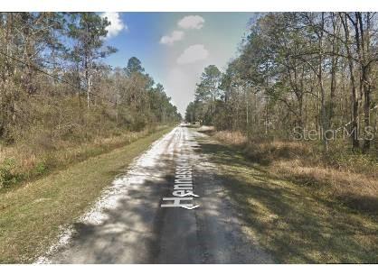 10685 Hennessey Ave, Hastings, FL 32145 - photo 2