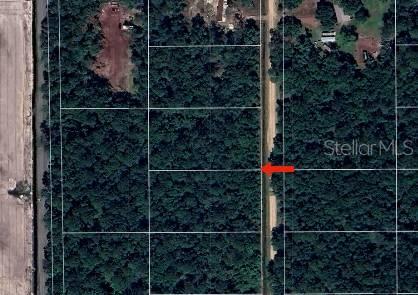 10685 Hennessey Ave, Hastings, FL 32145 - photo 3