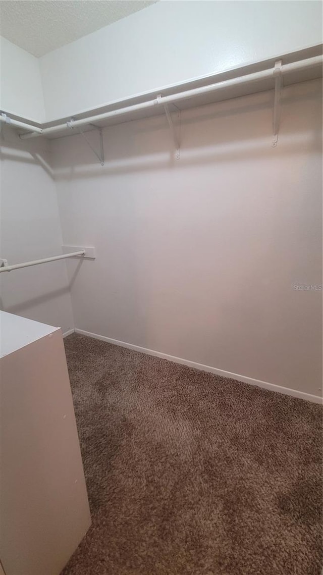 15005 Redcliff Dr, Tampa, FL 33625 - photo 21