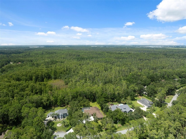 27641 Lincoln Pl, Wesley Chapel, FL 33544 - photo 3